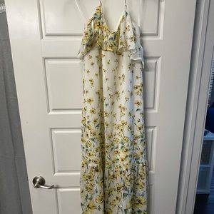 Zara Maxi dress